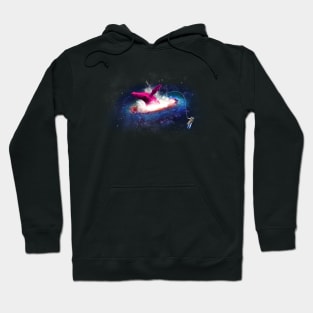 The hunt for the pink whale Hoodie